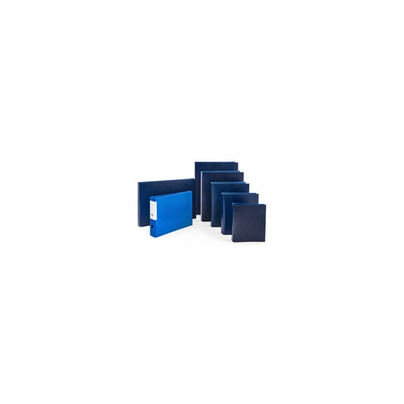 Cartella 4 anelli a D diam 25mm Blu A3 Vertic 42x30 Verticale